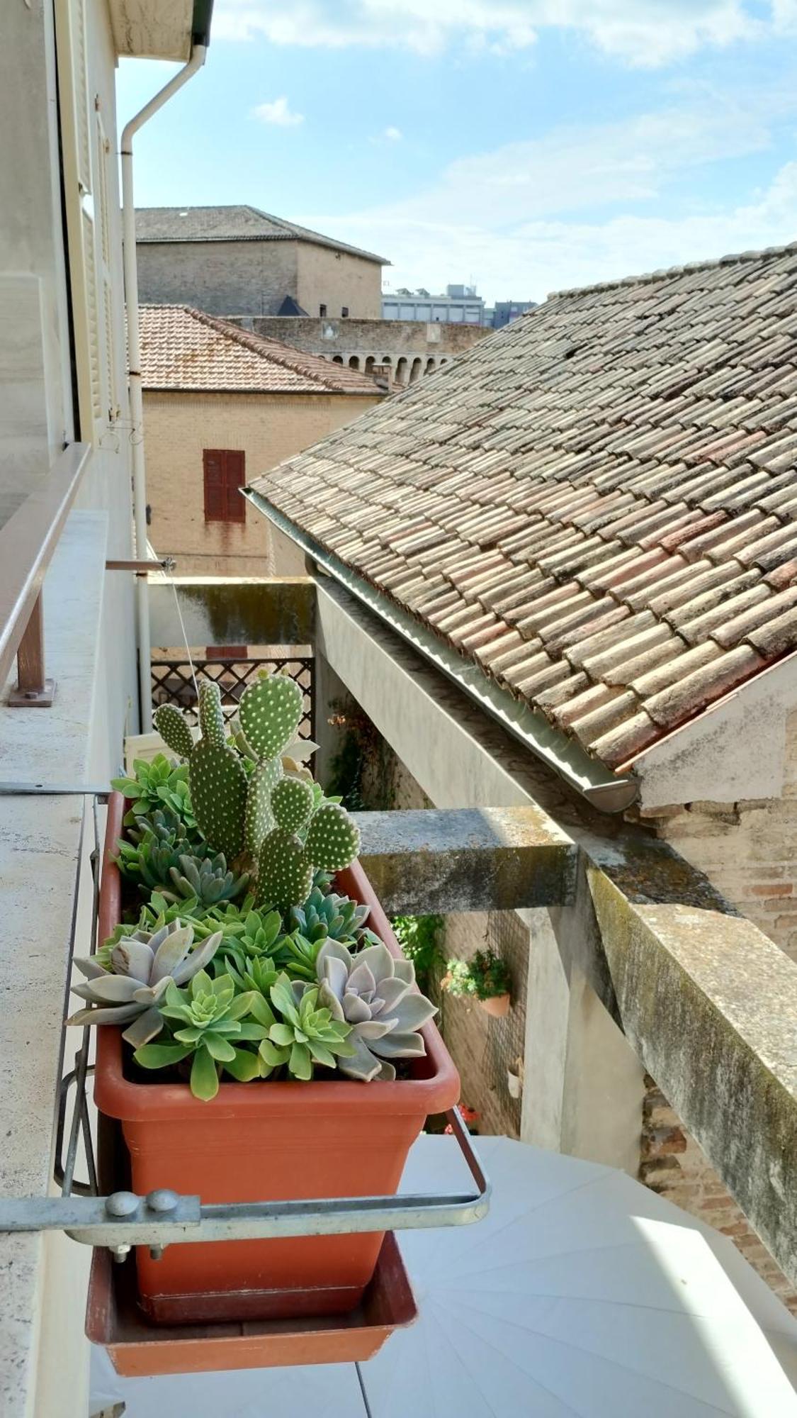 Palazzo Cavalletti - Appartamenti Nel Cuore Di Senigallia Buitenkant foto